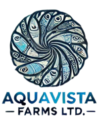 aquavista.co.ke